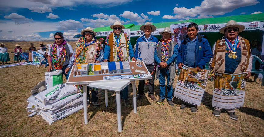 Inician construcción del primer módulo de transformación de fibra de alpaca de color Puno Perú
