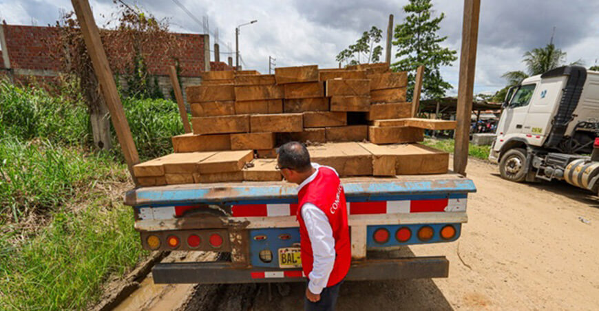 Contraloría detectó movilización ilegal de madera valorizada en S/889 000 Madre de Dios Perú