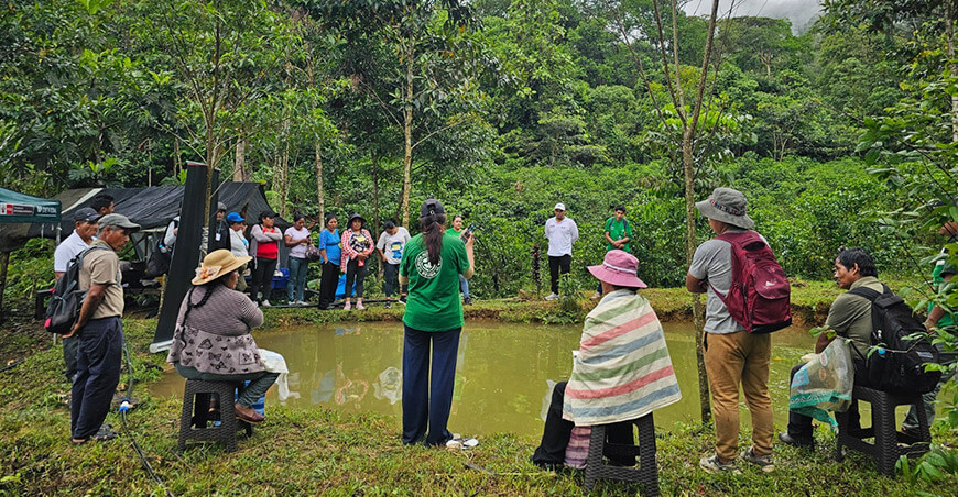 Cacaoteros de Cusco y Madre de Dios fortalecieron sus capacidades en Día de Campo Devida Perú