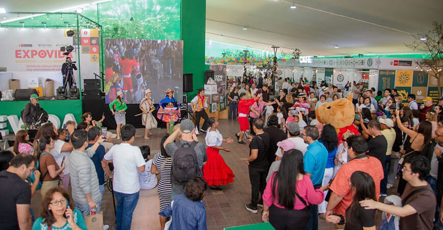 Expovida Lima Devida