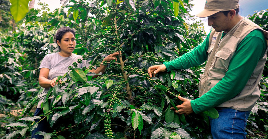 Devida capacitación productora de café Vraem