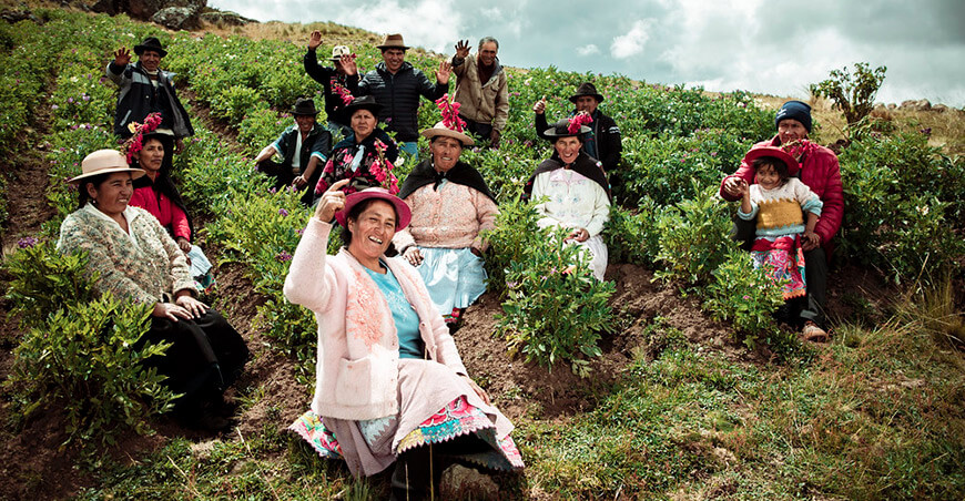 Día Nacional de las Cooperativas Agrarias productores de papa Perú