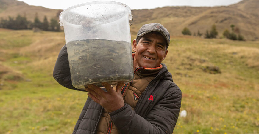 Repoblaron la laguna Usmay con alevinos de trucha en Tambo Ayacucho Perú