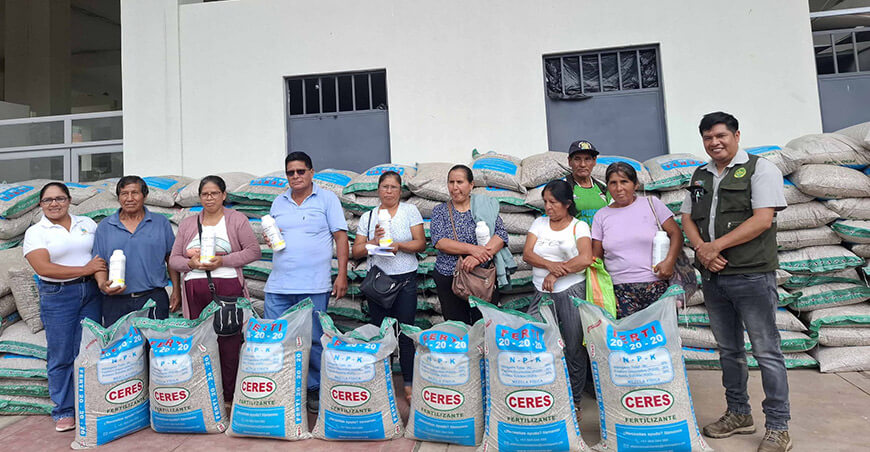 Continúa la entrega de kits agrícolas a productores afectados por la roya amarilla Junín Perú