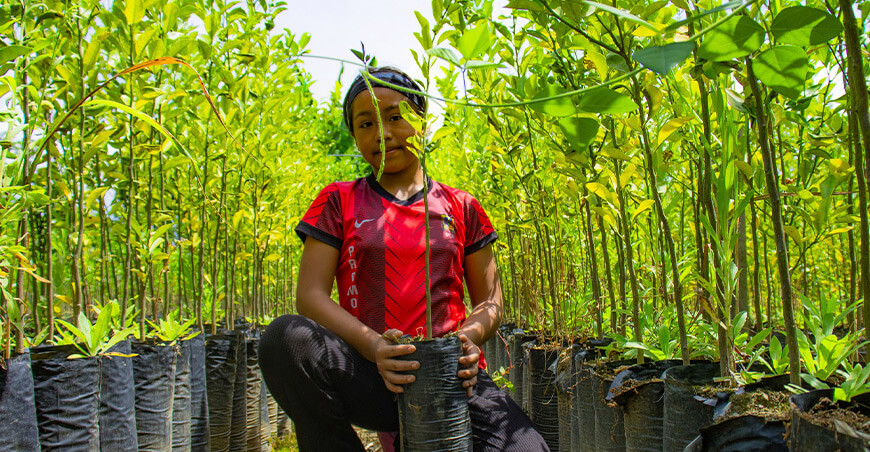 Distribuyen plantones cítricos a productores del distrito de Samugari Ayacucho