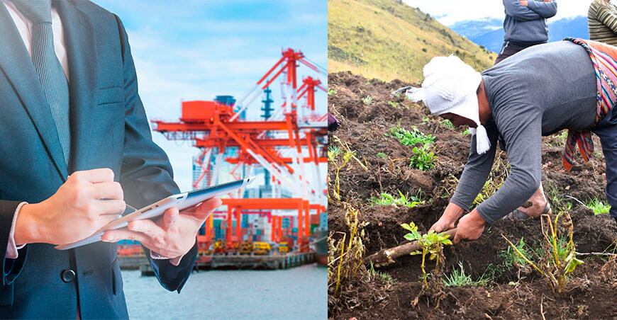 ANPE Perú cuestiona al Gobierno de Jerí por impulsar medidas a favor de grandes exportadoras mientras pequeños productores enfrentan crisis