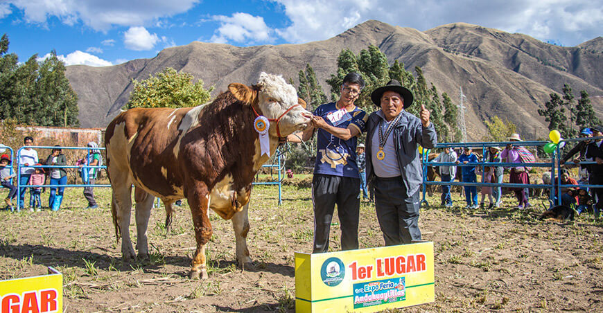 Feria Distrital Andahuaylillas Cusco Perú