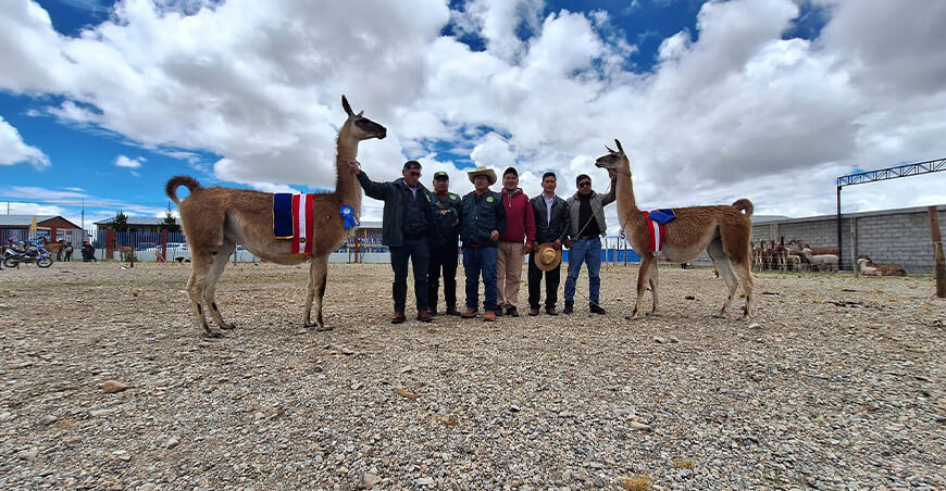Expo Feria Regional “Nación Chinchaycocha” Carhuamayo Junín