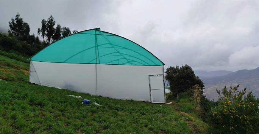 Entregan fitotoldos a productores de fresa de la comunidad de Qqueccayoc Cusco