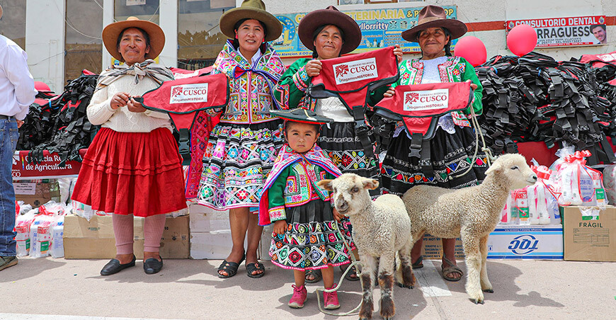Protegen a crías de ovinos y camélidos sudamericanos con kits veterinarios y capas Cusco Perú