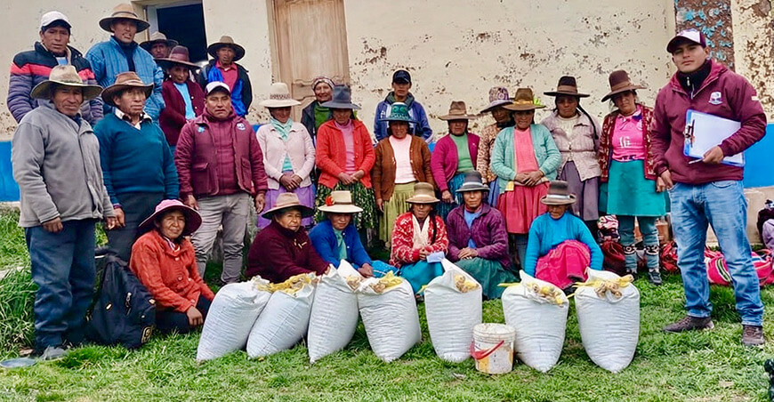 GORE Cusco continúa dotando de insumos agrícolas a las asociaciones productoras de Canas