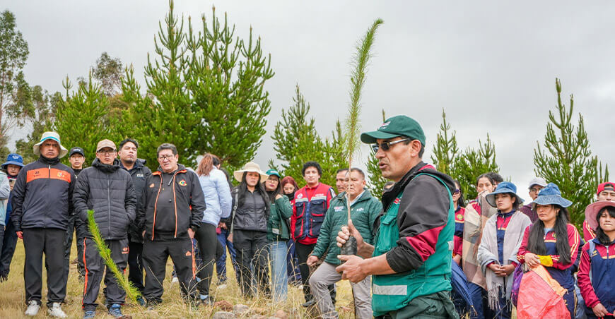 Huancavelica reverdecerá con la instalación de 40 000 plantones forestales en la campaña regional