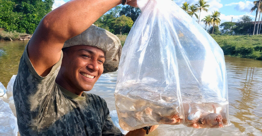 IIAP produjo y transfirió 2.86 millones de alevinos de peces nativos a familias amazónicas en 2025