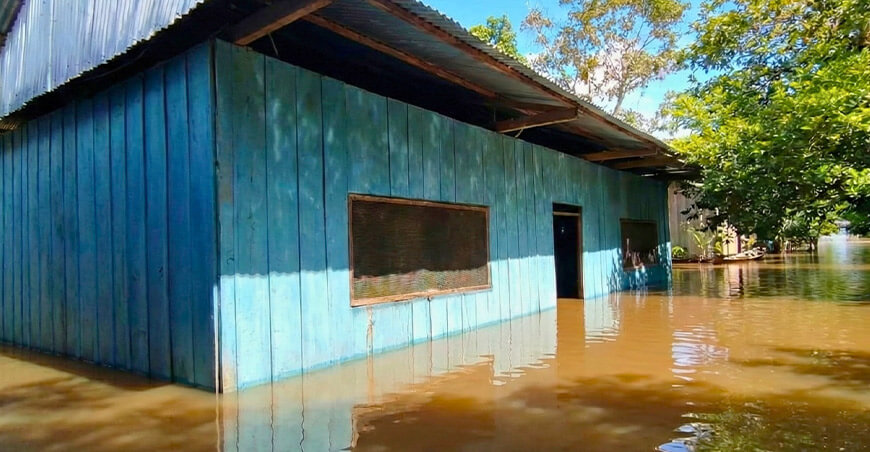 Río Ucayali modificó su cauce en Jenaro Herrera y afectó bosques, cultivos e infraestructura IIAP Perú