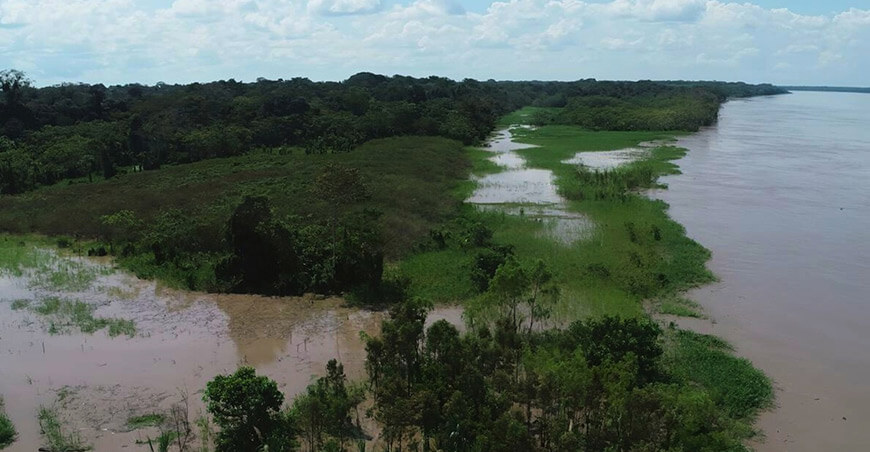 Río Ucayali modificó su cauce en Jenaro Herrera y afectó bosques, cultivos e infraestructura IIAP Perú