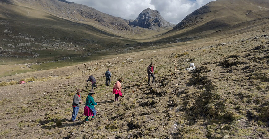 INIA transfirió más de 450 variedades de papas nativas a productores conservacionistas Apurímac Perú