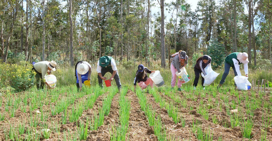 INIA transferencia tecnología productores Perú
