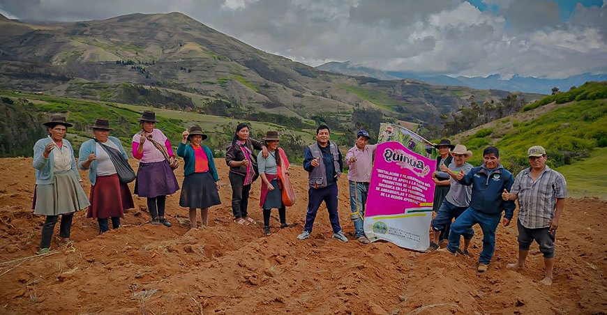 Apurímac avanza en la instalación de núcleo semillero de quinua en Huancarama