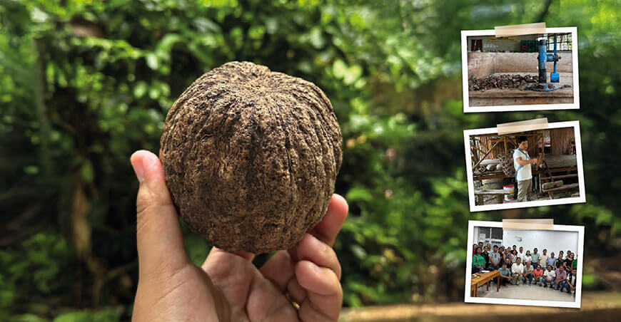 Nueva Hoja de Ruta para la Castaña Amazónica al 2030 impulsará el desarrollo sostenible en Madre de Dios