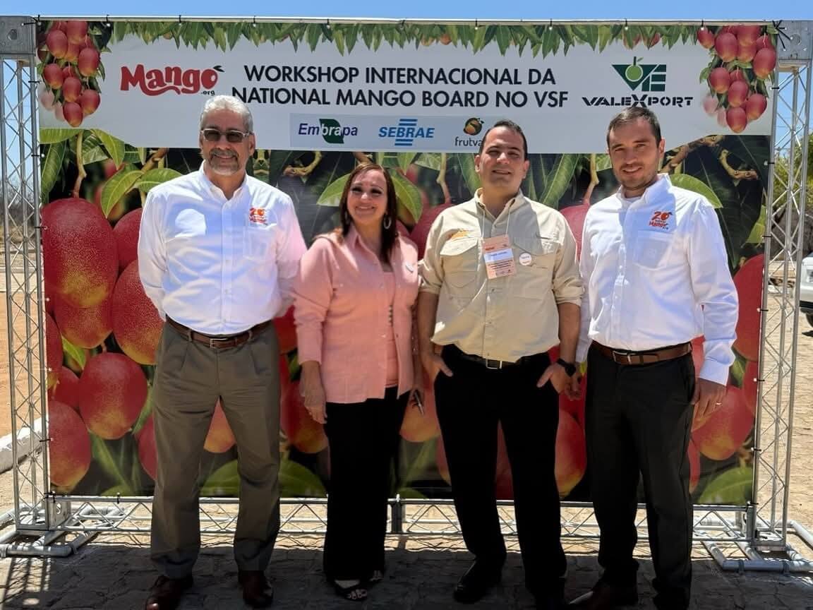 Petrolina, Brasil: epicentro mundial del mango y la innovación agroexportadora