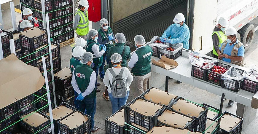 Midagri reafirma compromiso con la sanidad agraria mediante control permanente en la frontera con Chile