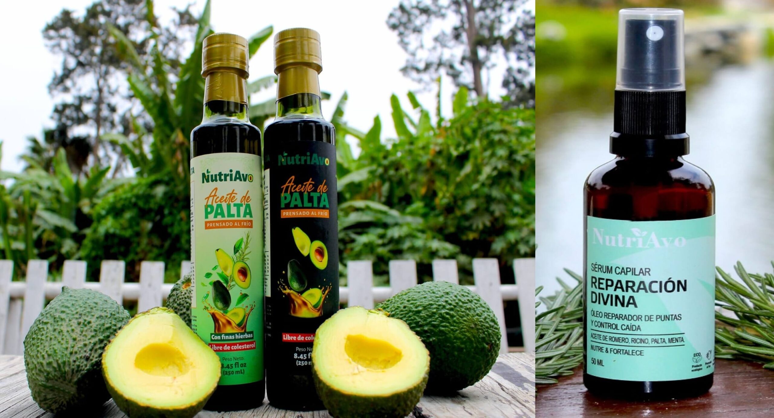 en aceite de palta de alta calidad, que comercializa con la marca NutriAvo®