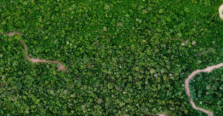 Osinfor supervisa 1000 hectáreas en solo 3 horas con dron VTOL de alta precisión