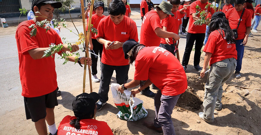 Plantarán más de 200 árboles en campaña de arborización en los Pantanos de Villa Lima