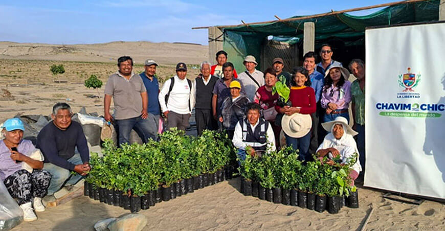 Instalarán parcela demostrativa de arándano en Nuevo Chimbote Áncash Perú