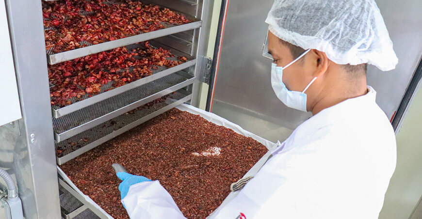 VEBA Sabores de Loreto con su té filtrante elaborado a base de camu camu obtuvo la prestigiosa Médaille Gourmet en AVPA Paris Francia 