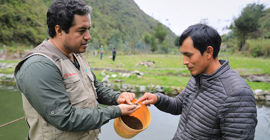 Devida entrega 526 toneladas de alimento balanceado a piscicultores del Vraem