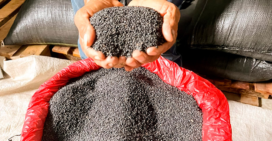 20 toneladas de ajonjolí de productores de Ucayali ingresaron al mercado de Asia
