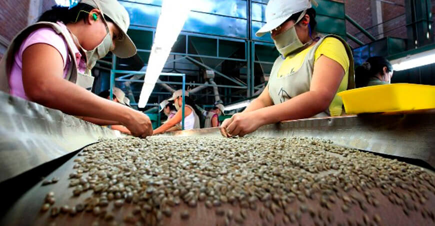 Perú exportaciones de café peruano