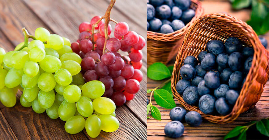 Perú exportación uvas y arándanos