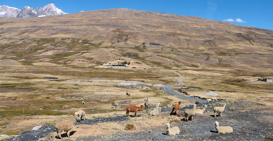 Zonas de agrobiodiversidad de Cusco y Puno INIA Perú