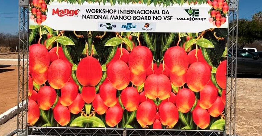 Petrolina, Brasil: epicentro mundial del mango y la innovación agroexportadora