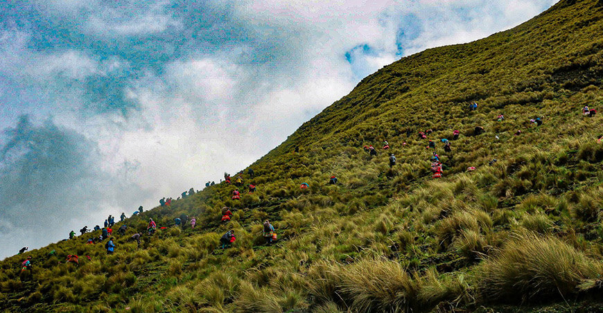  Ollantaytambo realizó con éxito el Queuña Raymi Cusco Perú ECOAN