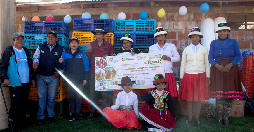 Impulsan cadena productiva de gallinas de asociación de Yadquire Procompite Coyllurqui Apurímac Perú