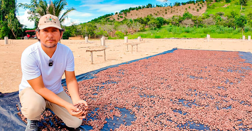 productor de cultivo de cacao en grano San Martín Perú