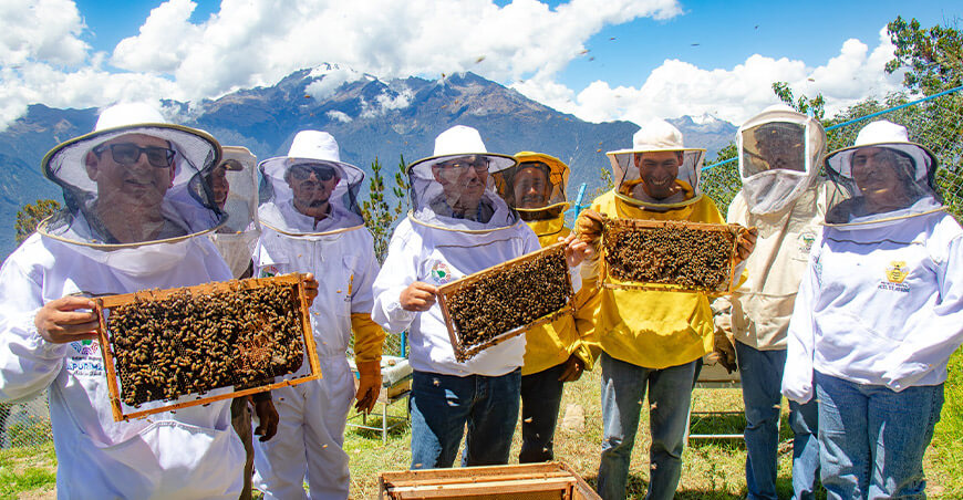 Proyecto Miel de Abeja fortalece a familias apícolas de las 7 provincias Apurímac Perú