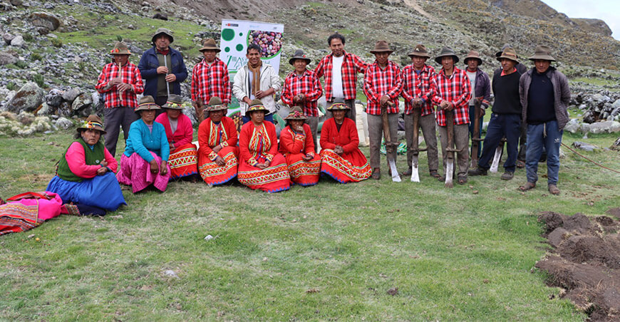 Instalaron más de 50 variedades de papa nativa en la Zona de Agrobiodiversidad Paymakis Apurímac productores conservacionista INIA Perú