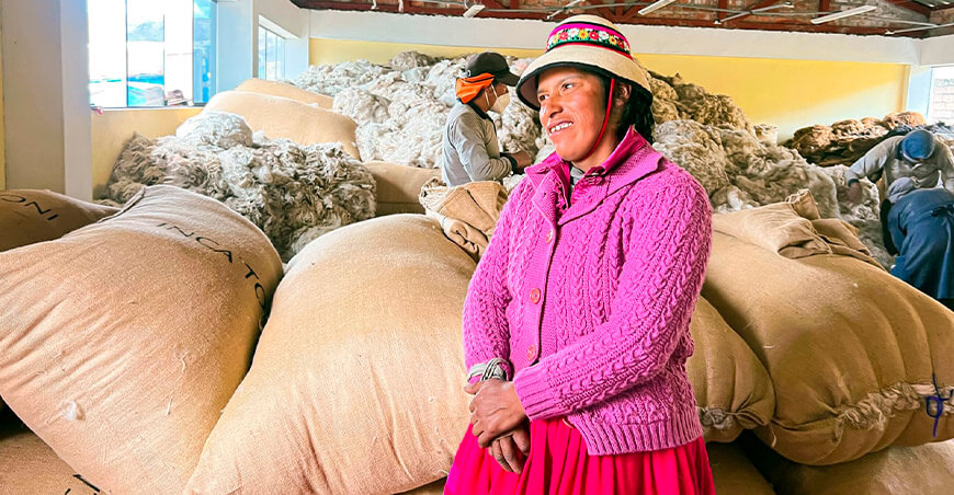Productores de Apurímac comercializan 147 000 libras de fibra de alpaca a la industria textil con apoyo de Agromercado