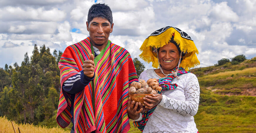 Cusco impulsa la aprobación de una ordenanza regional para fortalecer la cadena de valor de la papa nativa