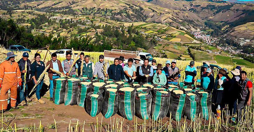 productores quinua Apurímac Perú