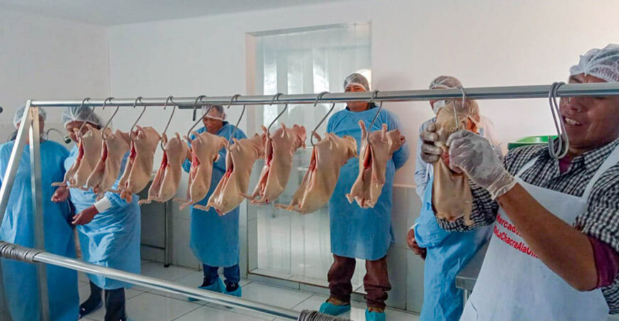 productores venta carne de cuy Perú