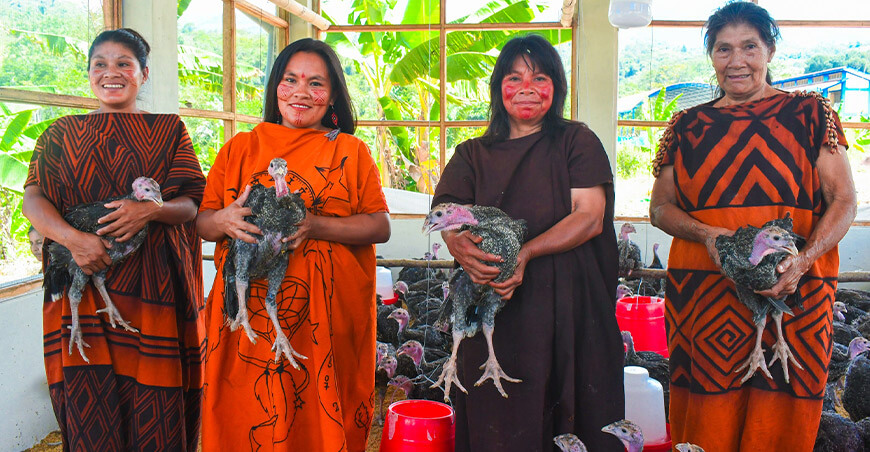 Vraem impulsa la producción familiar con la entrega de 800 pavos criollos mejorados a comunidades nativas