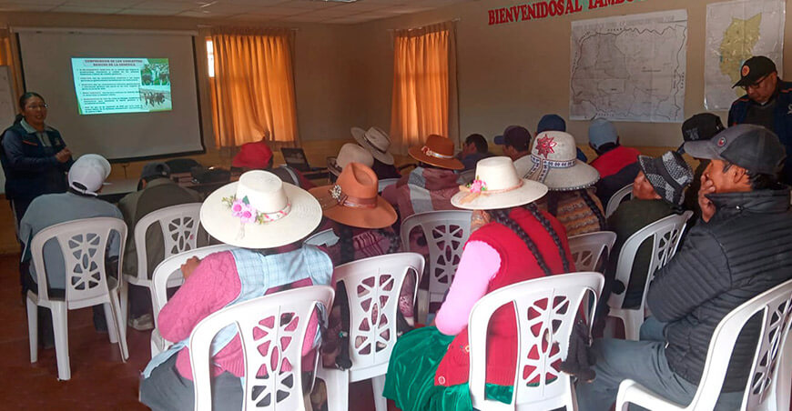 Proyecto “Alpacas de Color” inicia acciones en toda la región Puno Perú