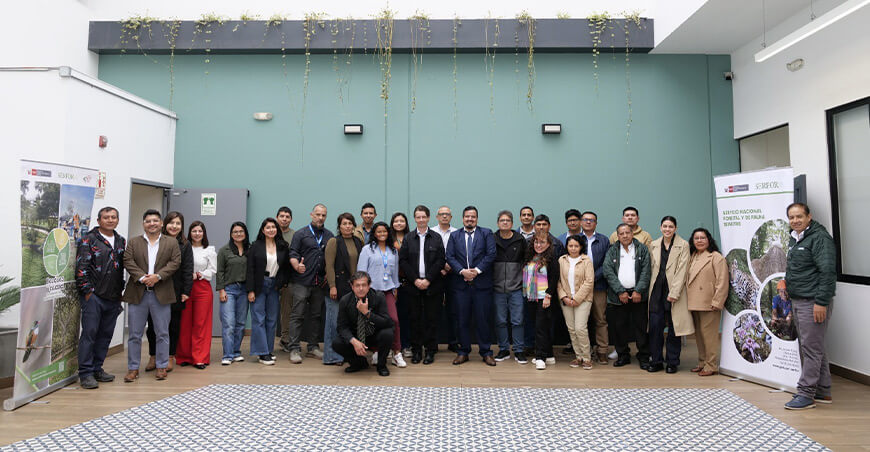 Serfor y aliados elaboran el Manual de Forestería Urbana y Periurbana del Perú