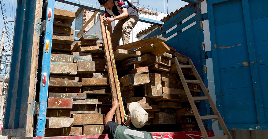 Serfor decomisó más de 8000 pies tablares de madera de origen ilegal en Chimbote Áncash Perú