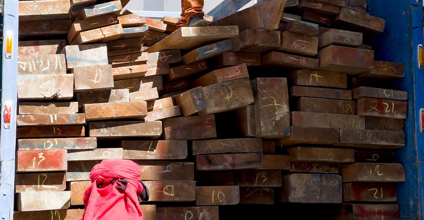 Serfor decomisó más de 8000 pies tablares de madera de origen ilegal en Chimbote Ancash